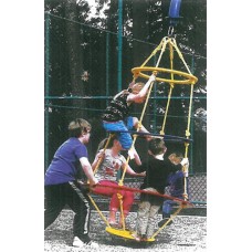 ADA Basket Swring Multi User Swing