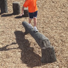 8 foot FALLEN TREE BALANCE BEAM