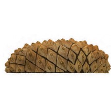 PINE CONE GFRC STEPPER 9 inch high