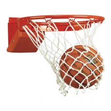 Bison Elite Breakaway Basketball Goal