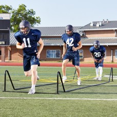 High Step Agility Trainer