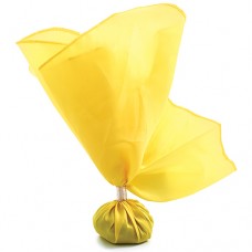 Official foots Penalty Flag