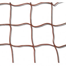 International Champion Soccer Net