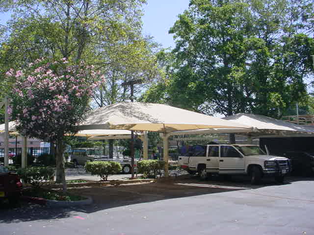 Car Parking 6