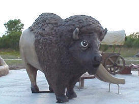 theme playground bison