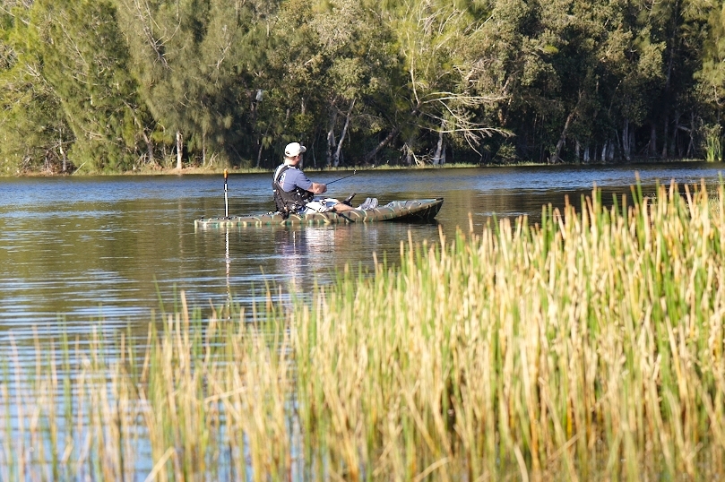 kayak